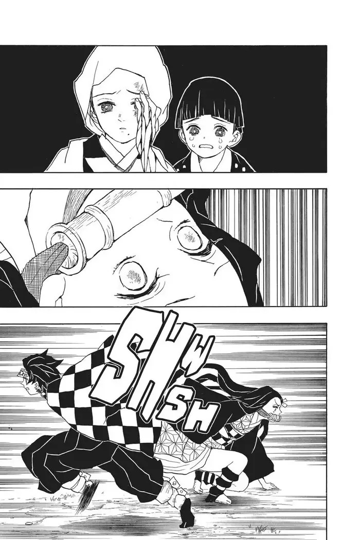 Demon Slayer Chapter 17 image 11_optimized